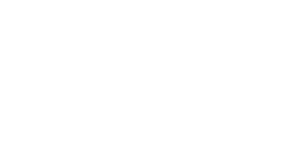 Executive Jet Training